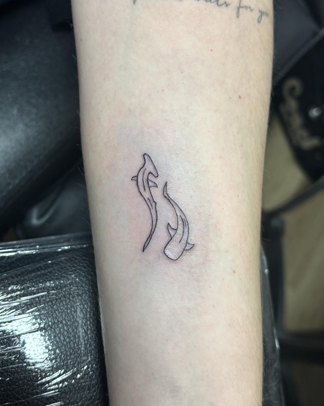 Minimal koi outline